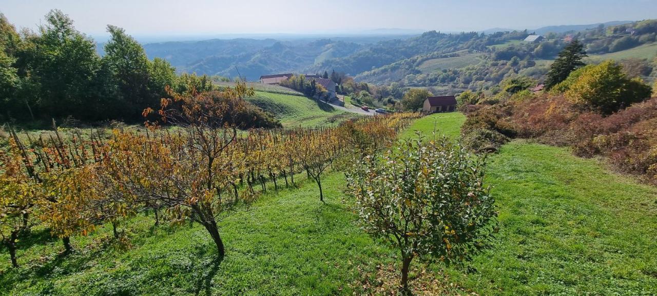 הוילה יאסטרברסקו Wine Panorama House מראה חיצוני תמונה